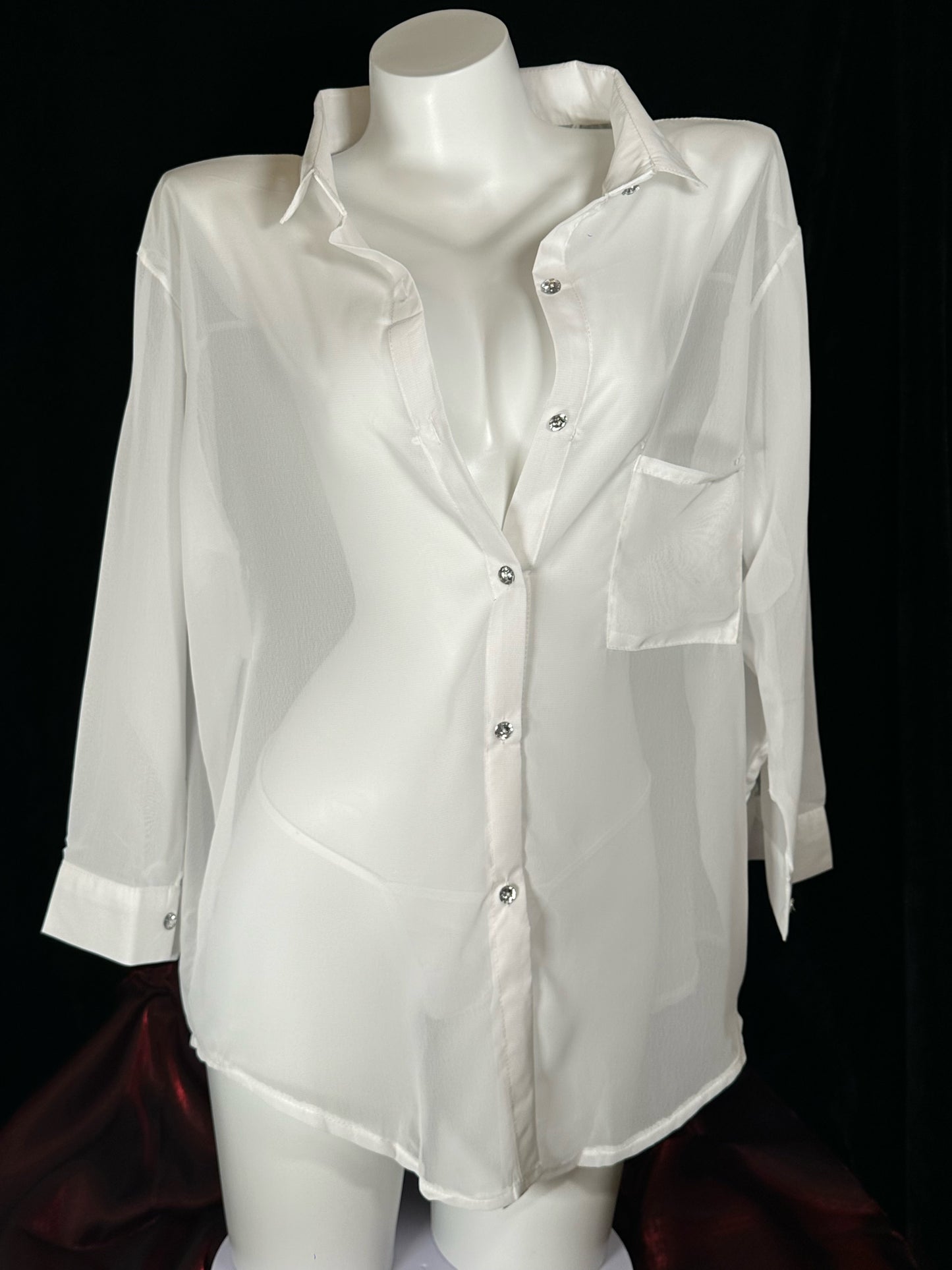 Be My Muse Sheer Blouse